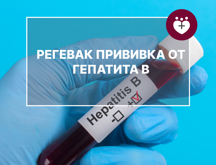 Сделать прививку от гепатита B в Санкт-Петербурге | Регевак