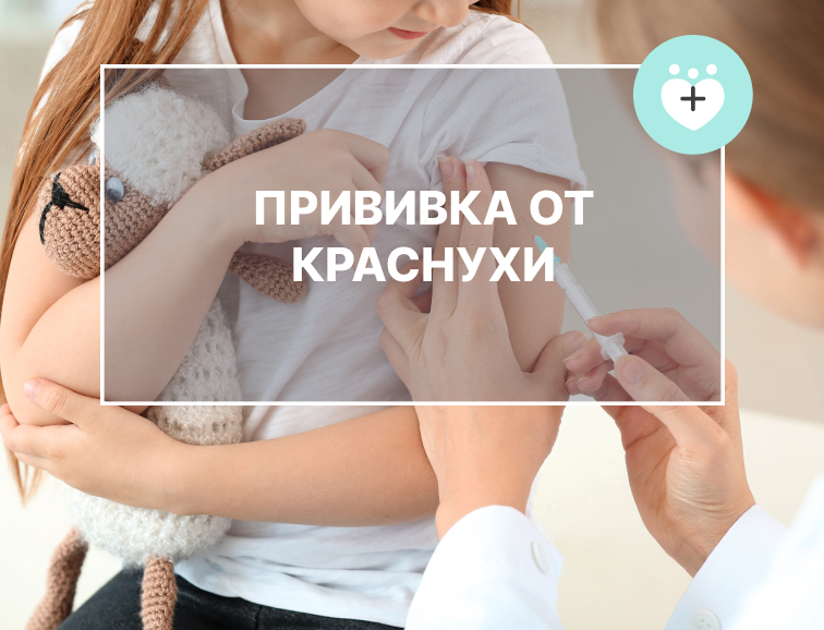 Цена на прививку от краснухи, сделать прививку в Санкт-Петербурге
